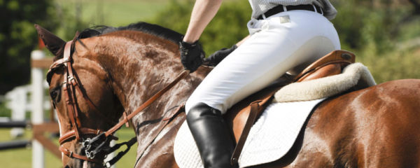 Matériel et accessoires pour équitation