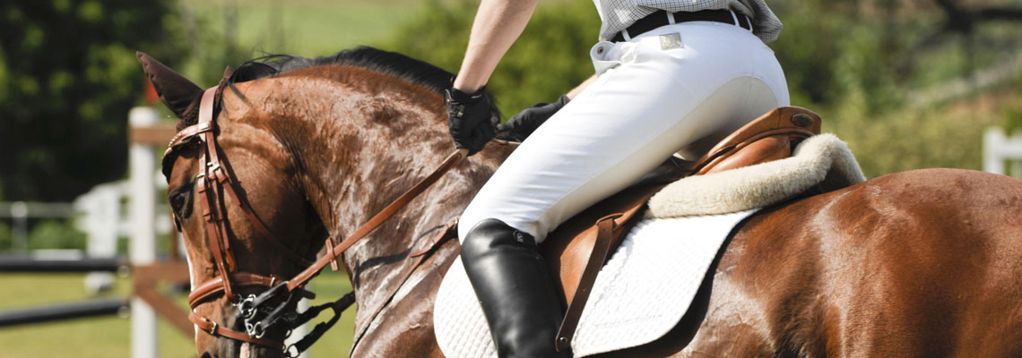 Matériel et accessoires pour équitation