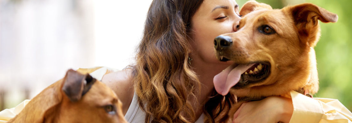 propriétaires d'animaux