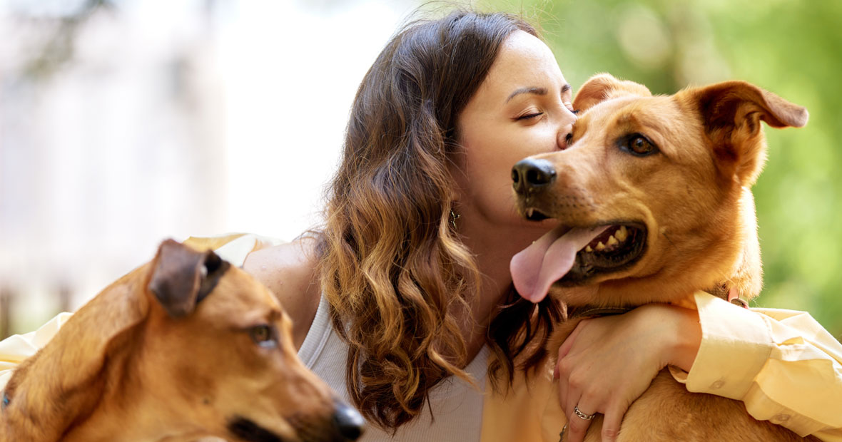 propriétaires d'animaux