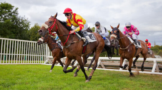 Course de chevaux